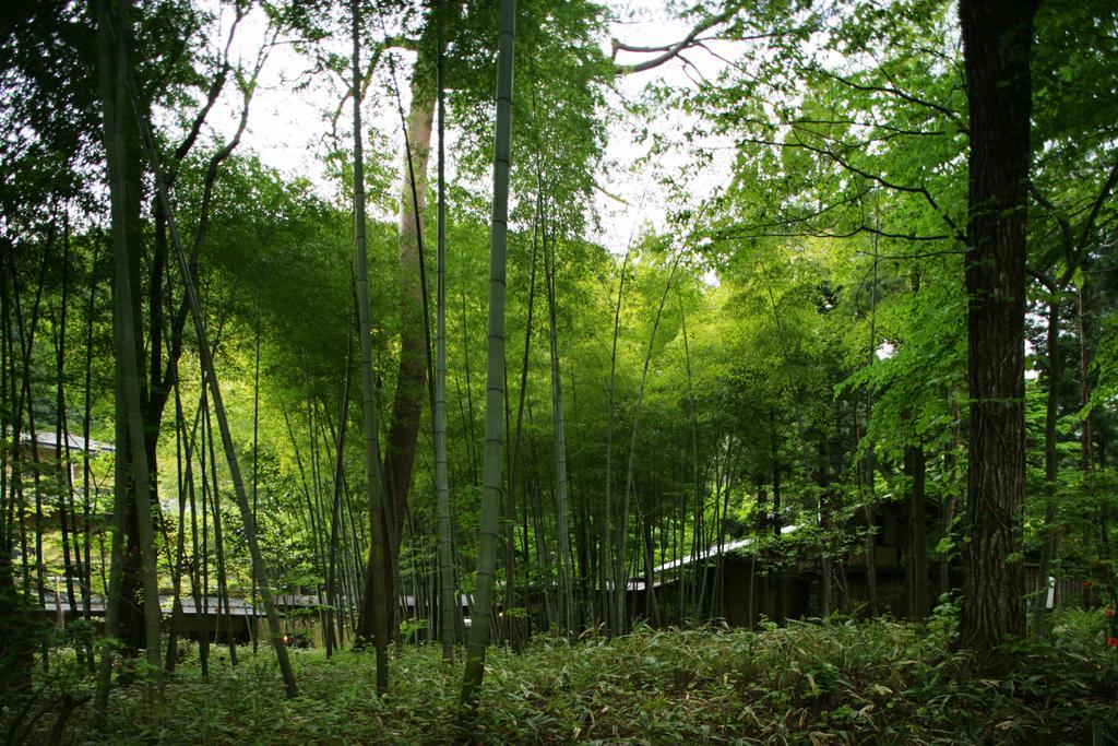 Sekizenkan Kashotei Sanso Nakanojo Экстерьер фото