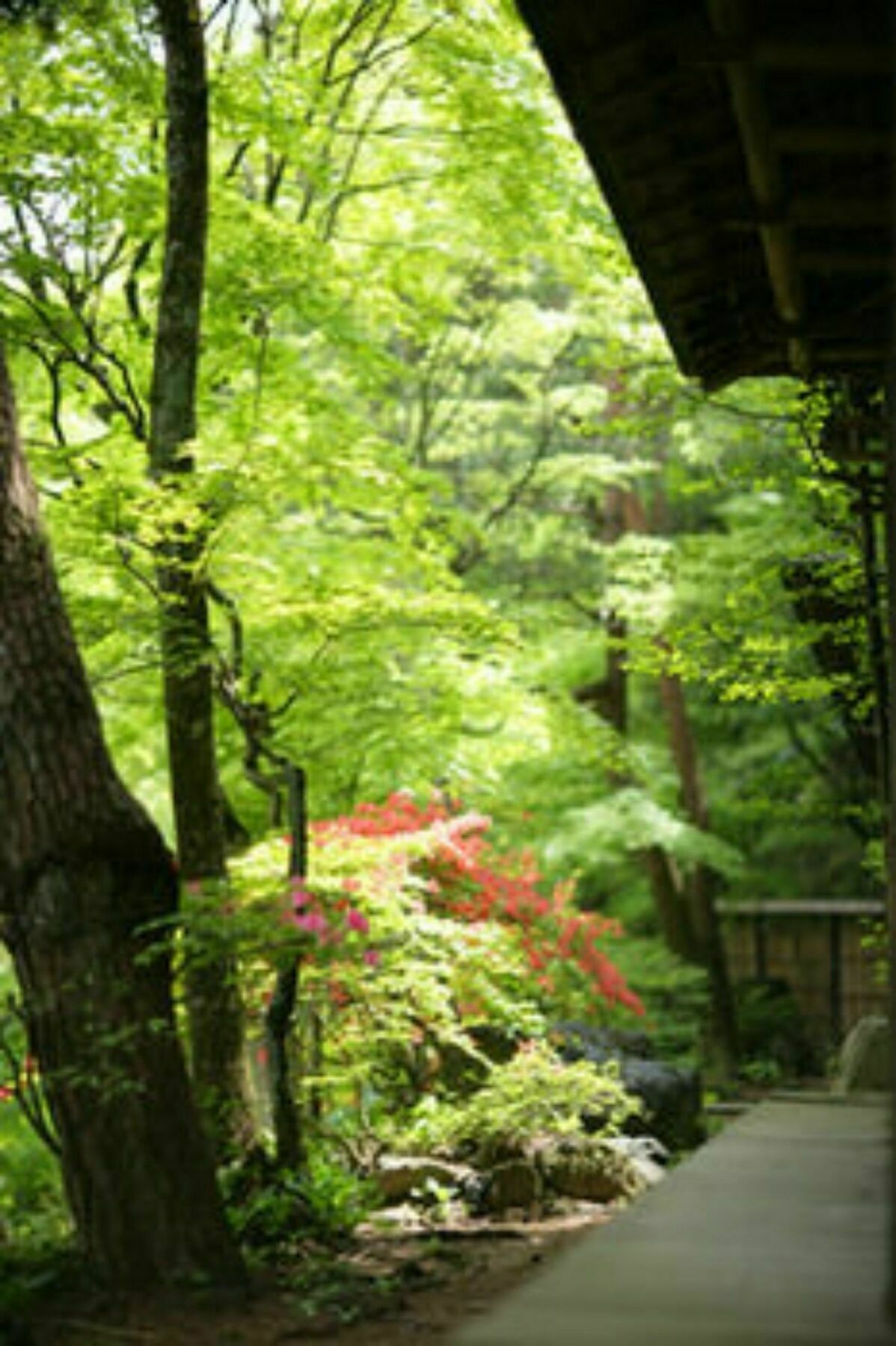 Sekizenkan Kashotei Sanso Nakanojo Экстерьер фото